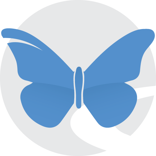 Design Icon