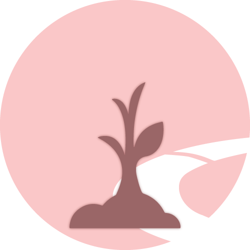 SEO Sapling Icon