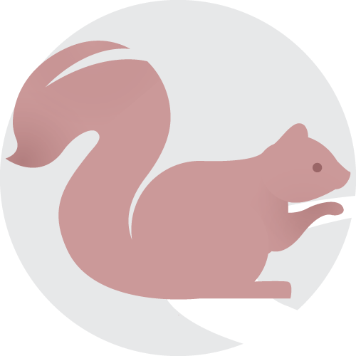 SEO Icon