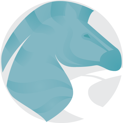 Stripe Development Icon