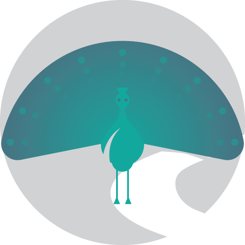 Website Design Icon